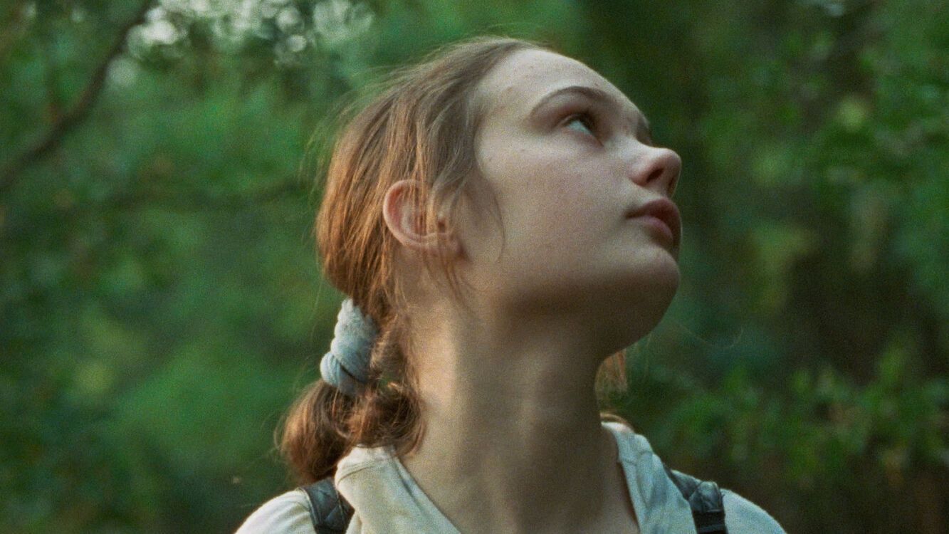 12002