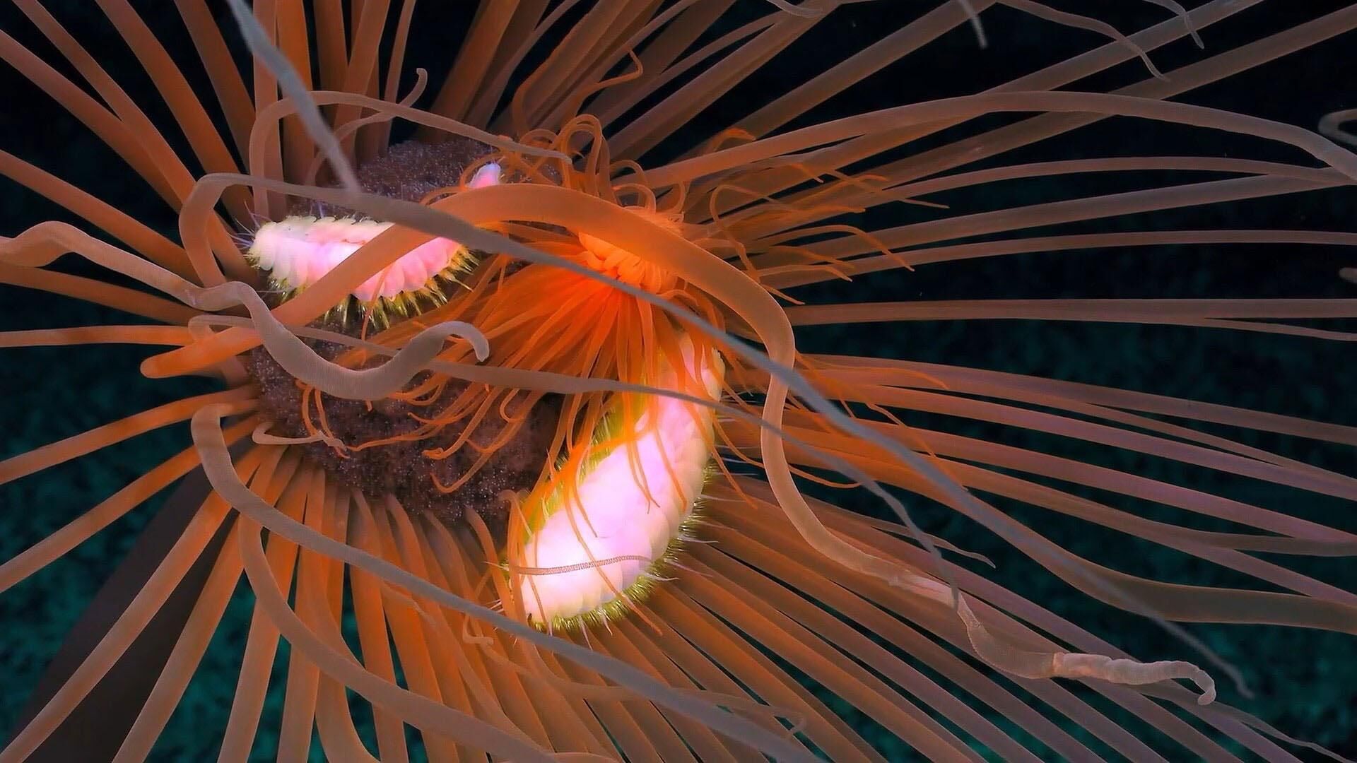 12952