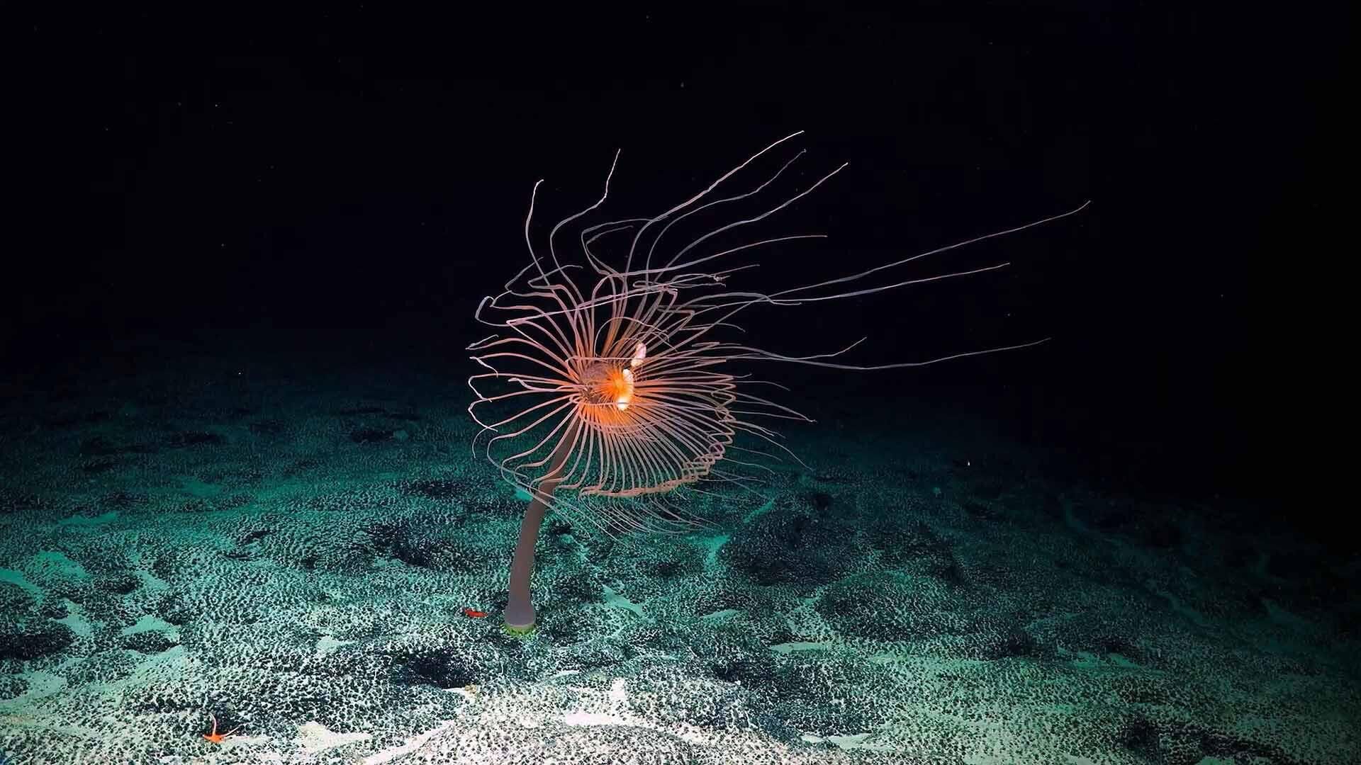 12953