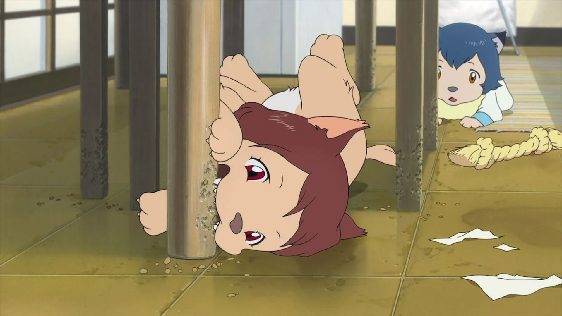 24977