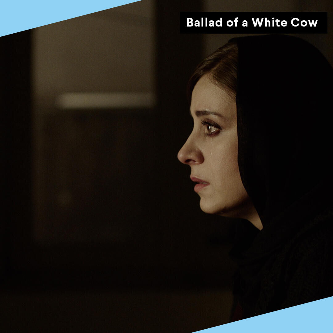 Ballad of a White Cow