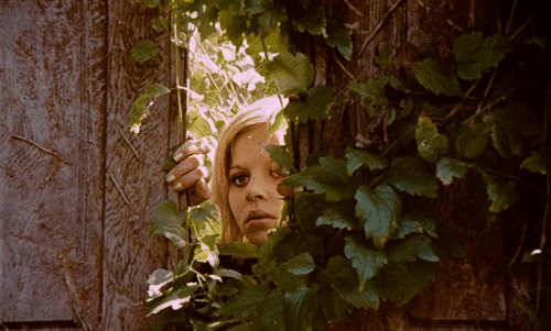 Coming soon: Cineville Previewdagen