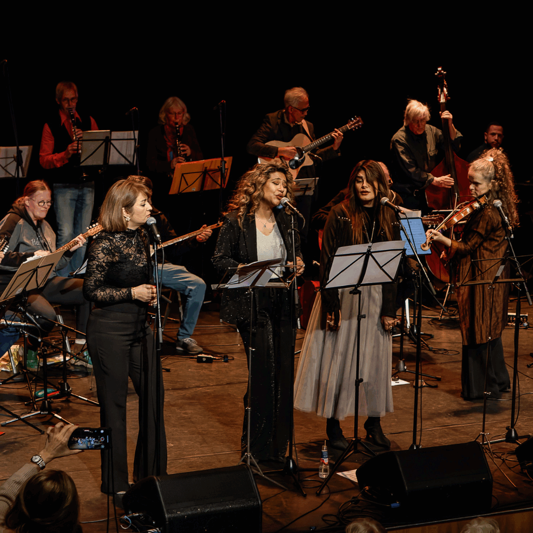 Concert Meet Your World Orchestra