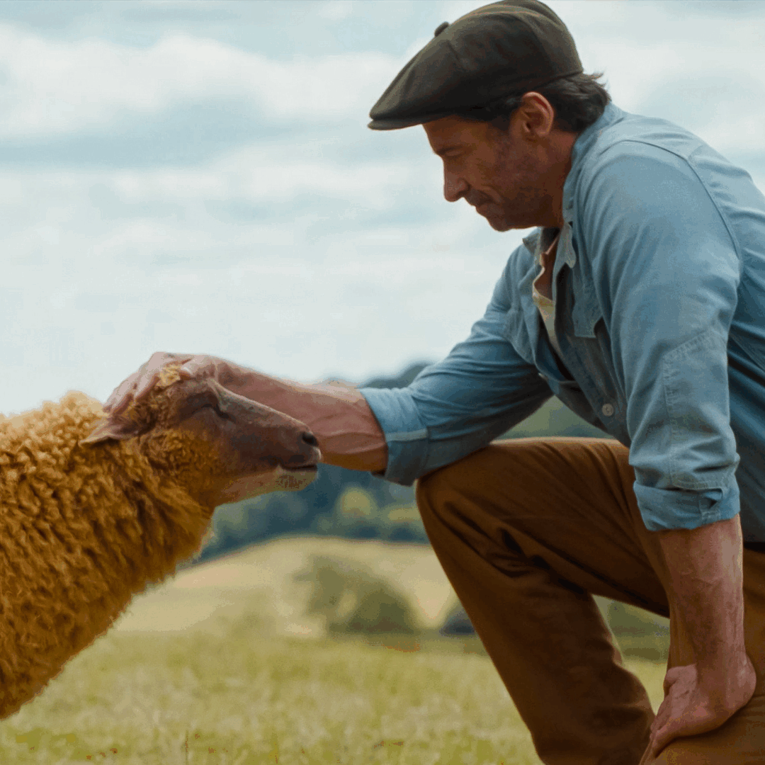 De Schapenspeurders (6+)