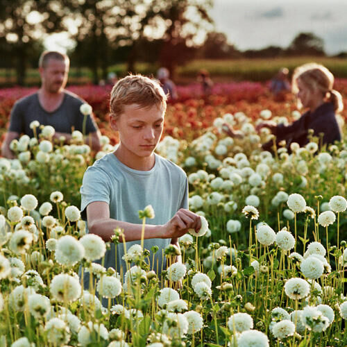 Filmcursussen en lezingen voor iedereen die de diepte in wil!