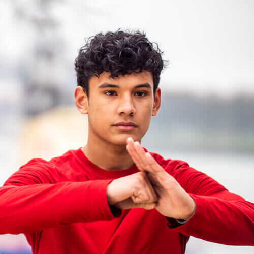 Kung Fu Leeuw | 8+