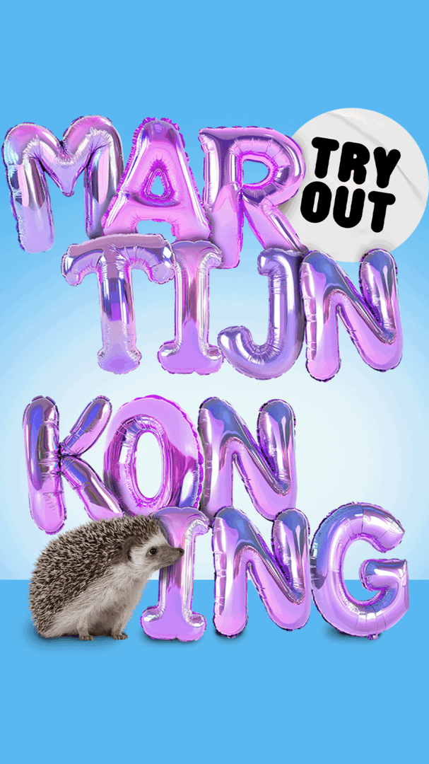 Martijn Koning
