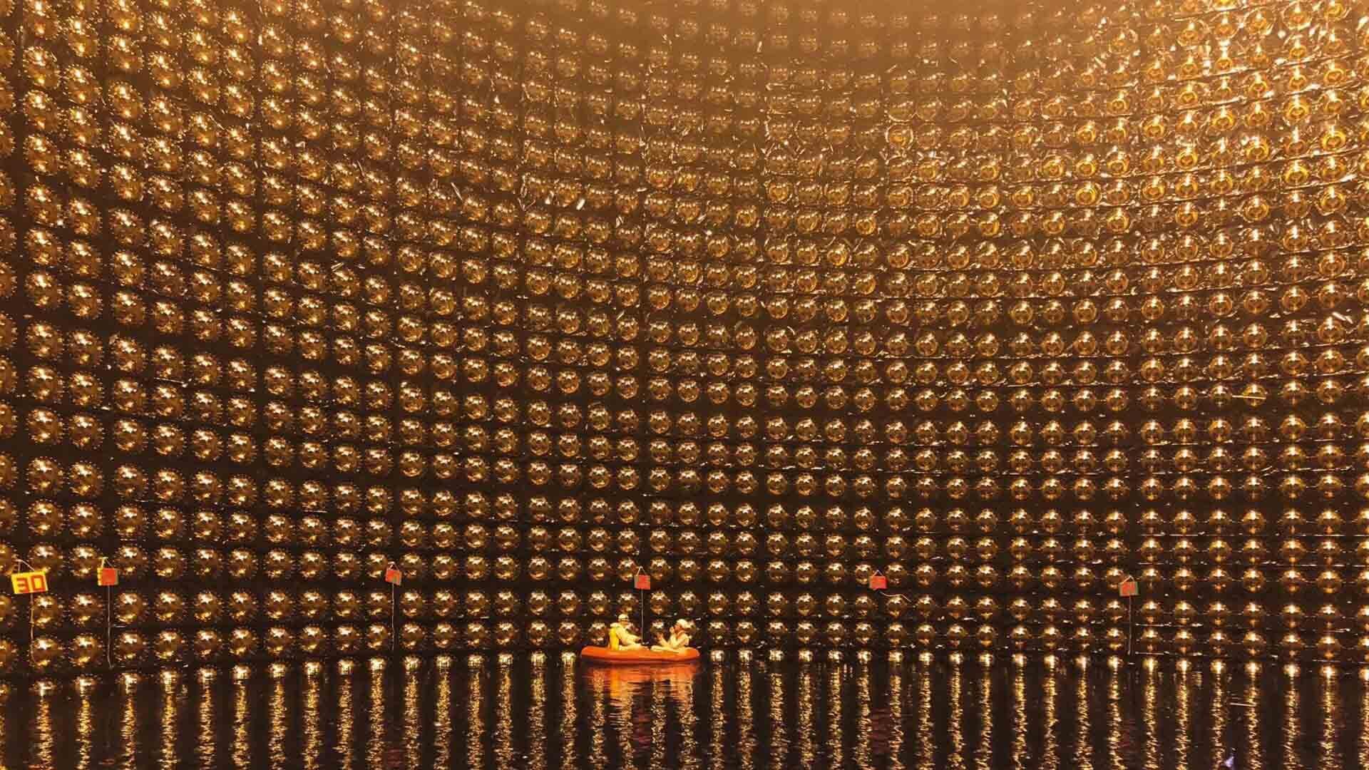 Neutrino - De Dichter Onder De Elementaire Deeltjes