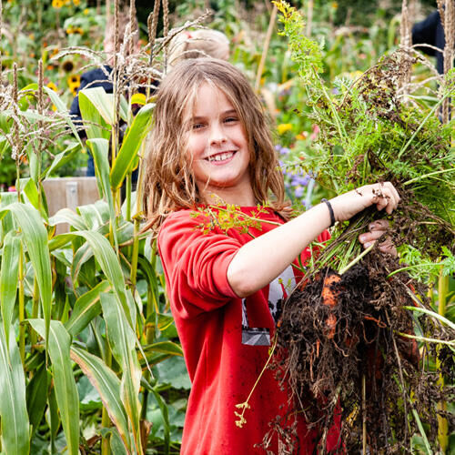 Over Onder Het Maaiveld Junior