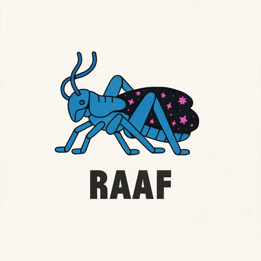 RAAF | 21:00 | Bouwkunde