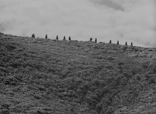Seven Samurai (digitale restauratie)