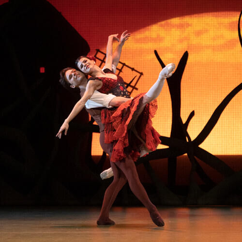 The Royal Ballet | Don Quichot