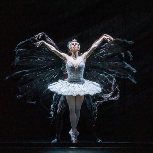 The Royal Ballet | Het Zwanenmeer