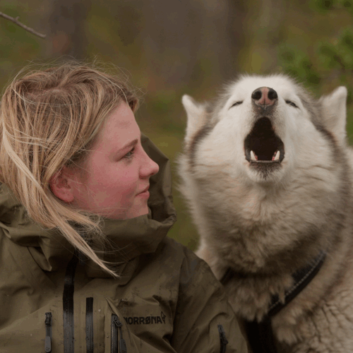 Weekoverzicht 1 januari t/m 7 januari